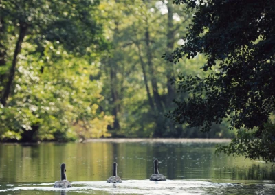 TASH-Kanu_50-A7R04390